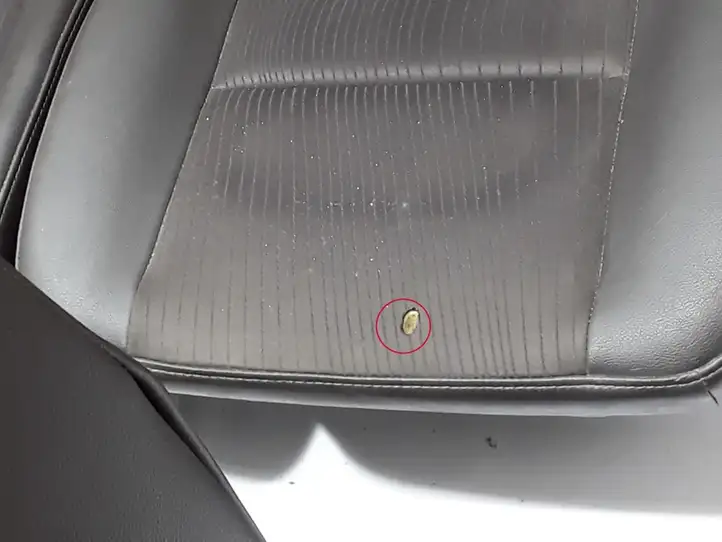 Renault Scenic III - Grand scenic III (2009 - 2016) Комплект салона — фото 7