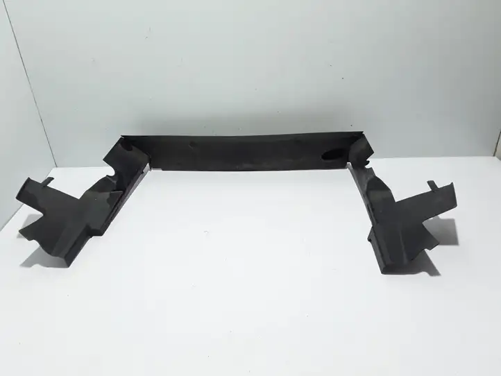 Renault Scenic III - Grand scenic III (2009 - 2016) Дефлектор воздуха — фото 3
