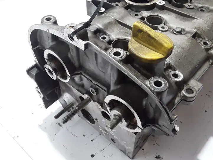 Renault Scenic I (1996 - 2003) 7701468962 Головка блока цилиндров — фото 3