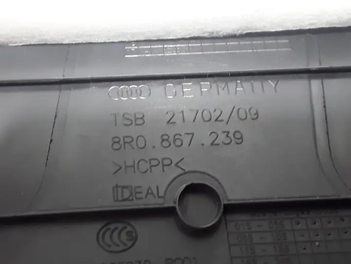 Audi Q5 SQ5 (2008 - 2012) 8R0867239 Нижняя обшивка стойки B — фото 2