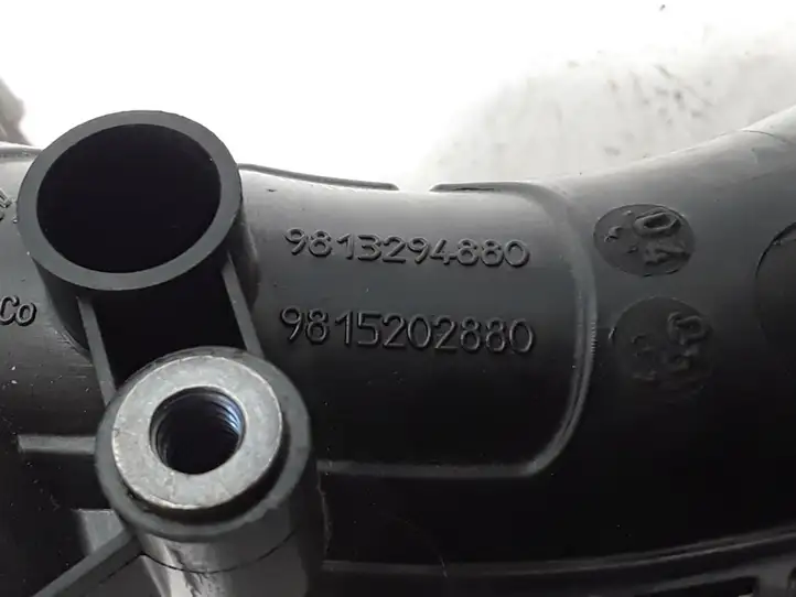 Peugeot 2008 II (2019 - ) 9813294880 Детали воздухозаборника — фото 3