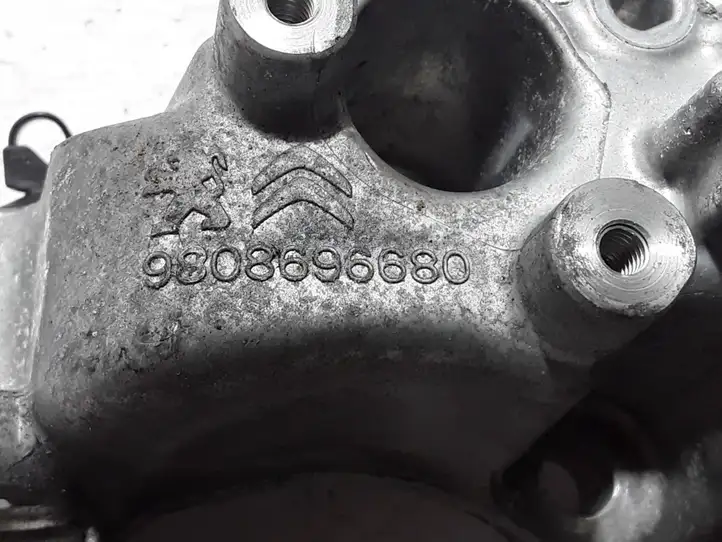 Peugeot 2008 II (2019 - ) 9808696680 Кронштейн генератора — фото 2