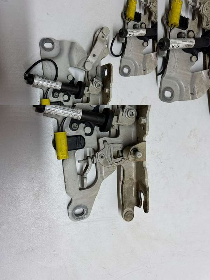 BMW 5 F10 F11 (2009 - 2016)  7249887 Комплект петель передней двери