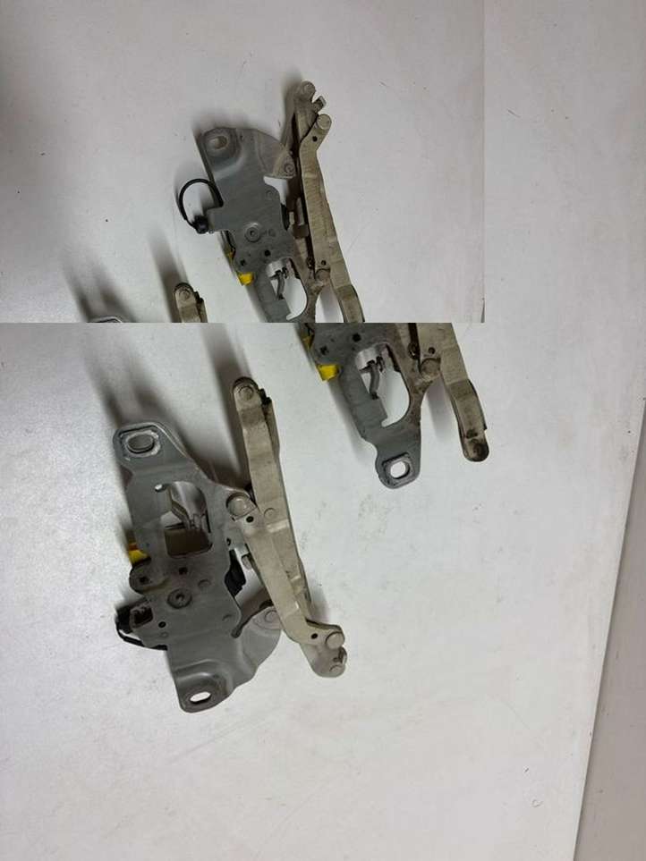BMW 5 F10 F11 (2009 - 2016)  7249887 Комплект петель передней двери