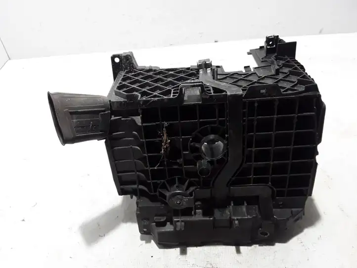 Opel Vivaro (2014 - 2018) 244460003R Держатель аккумулятора — фото 2