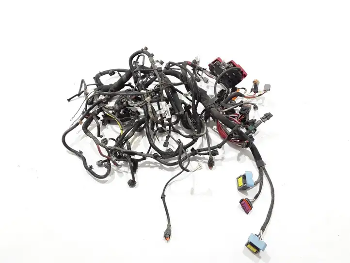 Mercedes-Benz Citan W415 (2013 - 2021) 240119705R Проводка двигателя — фото 1