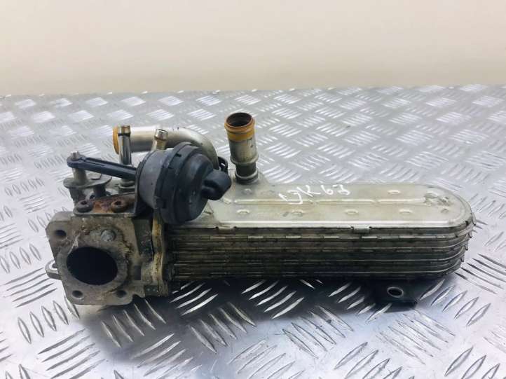 Volkswagen PASSAT B6 (2005 - 2010)  03G131513 Охладитель EGR