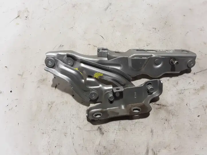 Volvo S90, V90 (2016 - 2020) 31651861 Петли капота — фото 1