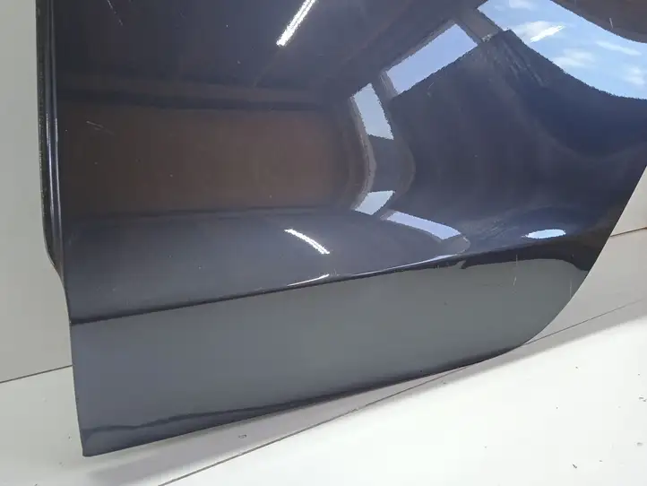 Tesla Model 3 (2017 - 2023) 108148500 Задняя дверь — фото 2