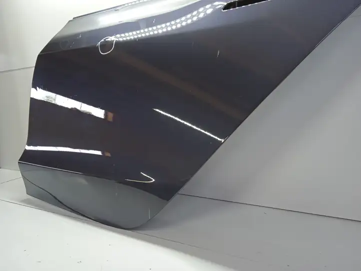 Tesla Model 3 (2017 - 2023) 108148500 Задняя дверь — фото 10