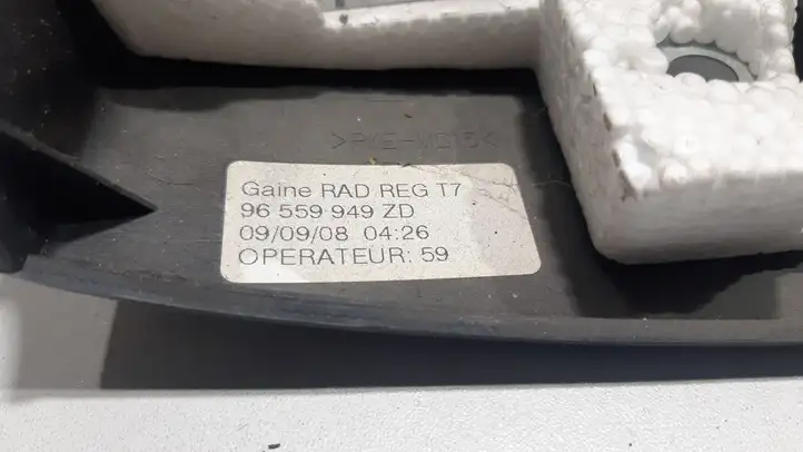 Peugeot 308 (2007 - 2013) 96559949ZD Обшивка рулевой колонки — фото 5