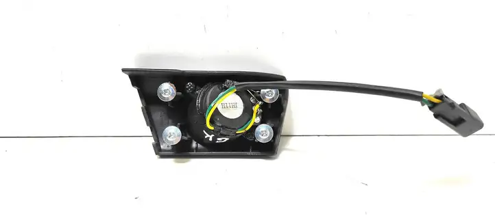 Chevrolet Captiva (2006 - 2011) Твитер задних дверей — фото 2