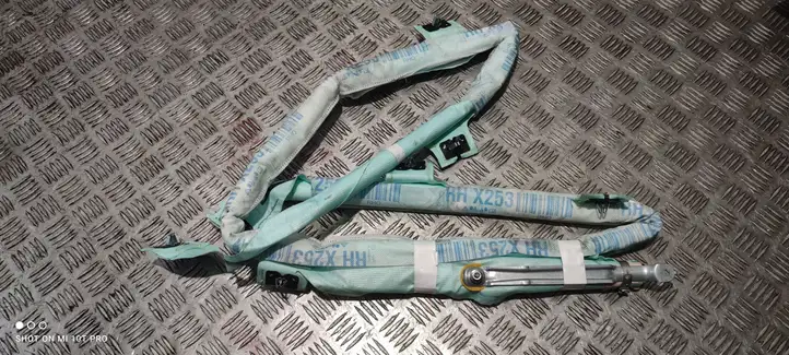 Mercedes-Benz GLC X253/C253 (2015 - ) A2538603600 Боковая подушка безопасности шторка — фото 1