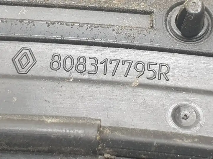 Renault Trafic III (X82) (2014 - ) 808317795R Уплотнитель передней двери — фото 5