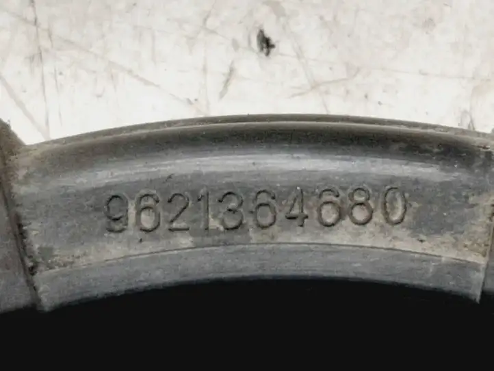 Peugeot Partner (2002 - 2008) 9621364680 Гайка топливного насоса — фото 2