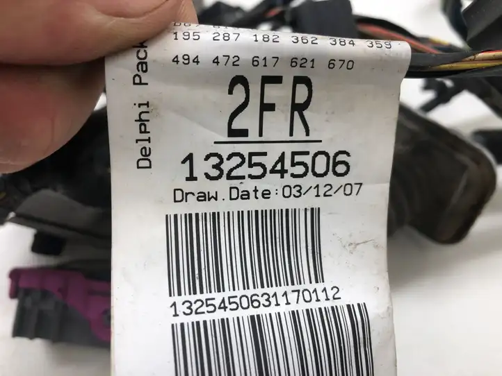 Opel Insignia A (2008 - 2017) 13254506 Проводка передней двери — фото 2