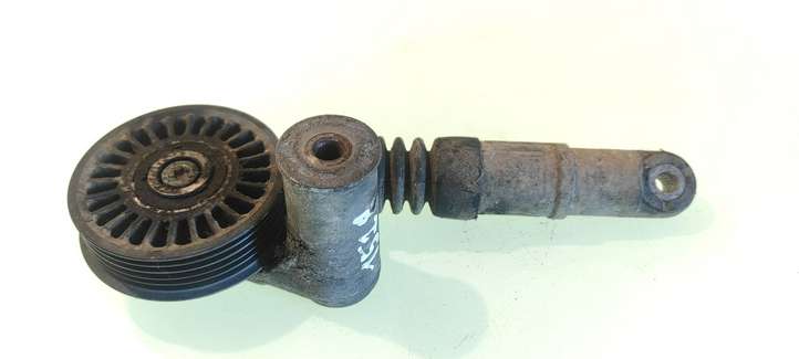 Volkswagen PASSAT B5.5 (2001 - 2005)  F23470909 Натяжитель ремня генератора