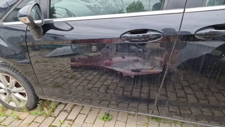 Ford B-MAX (2012 - 2018) Дверь — фото 2