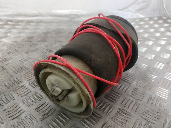 BMW X5 E70 (2006 - 2013) R309512606 Передняя пневмоподушка — фото 2