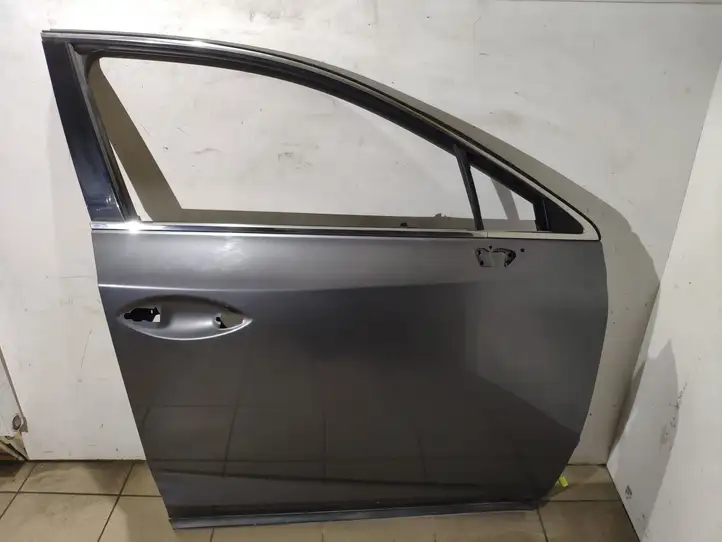 Lexus NX (2017 - ) Дверь — фото 1