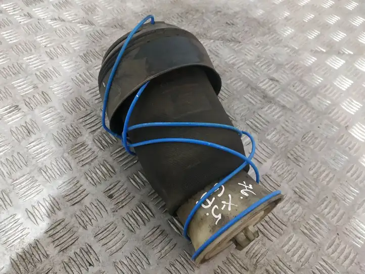 BMW X5 E70 (2006 - 2013) R309512606 Передняя пневмоподушка — фото 1