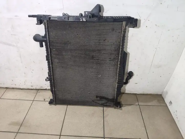 Land Rover Range Rover Sport L494 (2009 - 2013) AH328005BA Радиатор охлаждающей жидкости двигателя — фото 1