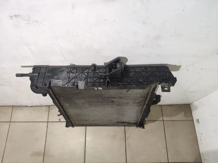 Land Rover Range Rover Sport L494 (2009 - 2013) AH328005BA Радиатор охлаждающей жидкости двигателя — фото 4