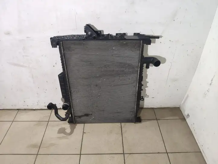 Land Rover Range Rover Sport L494 (2009 - 2013) AH328005BA Радиатор охлаждающей жидкости двигателя — фото 7
