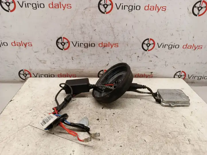 Volkswagen PASSAT B6 (2005 - 2010) 890020080 Блок розжига ксенона — фото 1