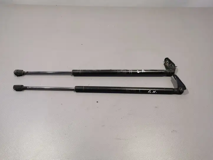 Toyota Corolla Verso AR10 (2004 - 2009) Амортизатор крышки багажника — фото 1
