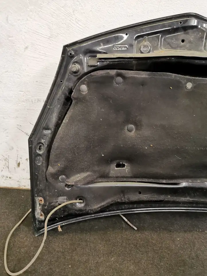 Toyota Corolla Verso E121 (2004 - 2007) Капот — фото 11