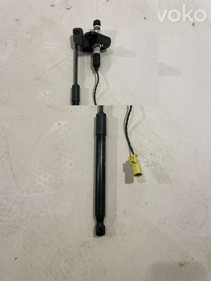 Tesla Model 3 (2024 - )  164598900A  Амортизатор капота