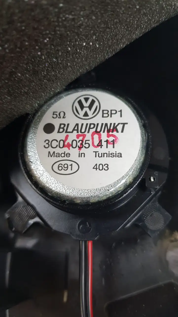 Volkswagen PASSAT B6 (2005 - 2010) Динамики передних дверей — фото 4