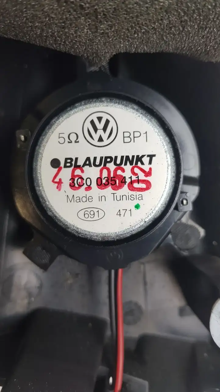 Volkswagen PASSAT B6 (2005 - 2010) Динамики передних дверей — фото 4