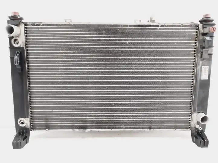 Mercedes-Benz B-class W245 (2005 - 2008) A1695000504 Радиатор охлаждающей жидкости двигателя — фото 8