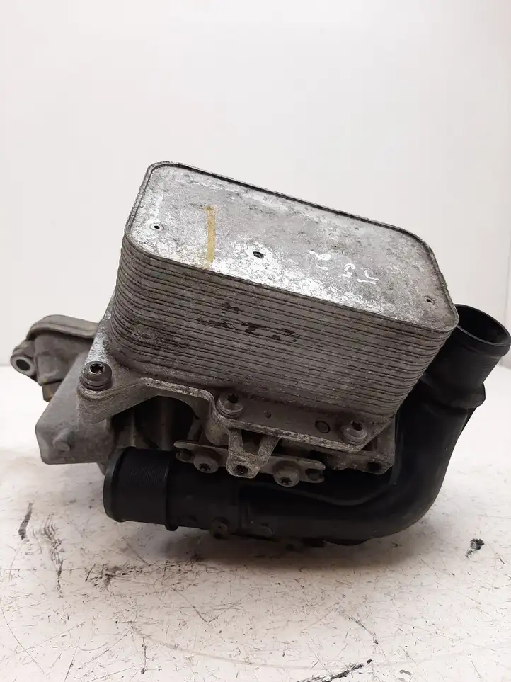Nissan NV400 (2012 - 2020) 8201005241 Кронштейн масляного фильтра — фото 13