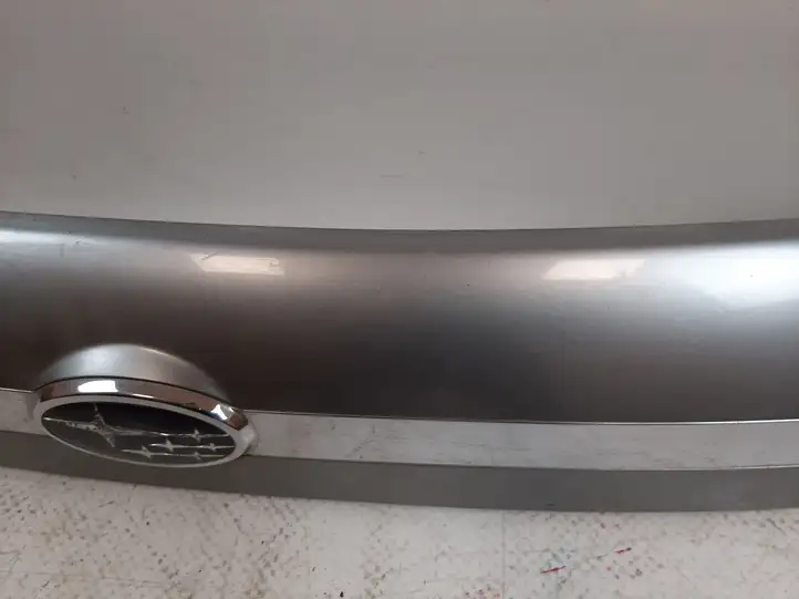 Subaru Legacy (2003 - 2009) 91711AG040 Подсветка номера — фото 7