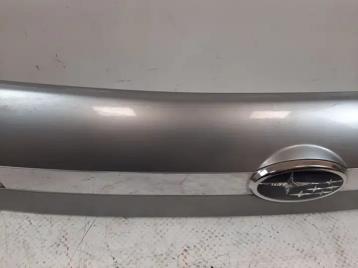 Subaru Legacy (2003 - 2009) 91711AG040 Подсветка номера — фото 9