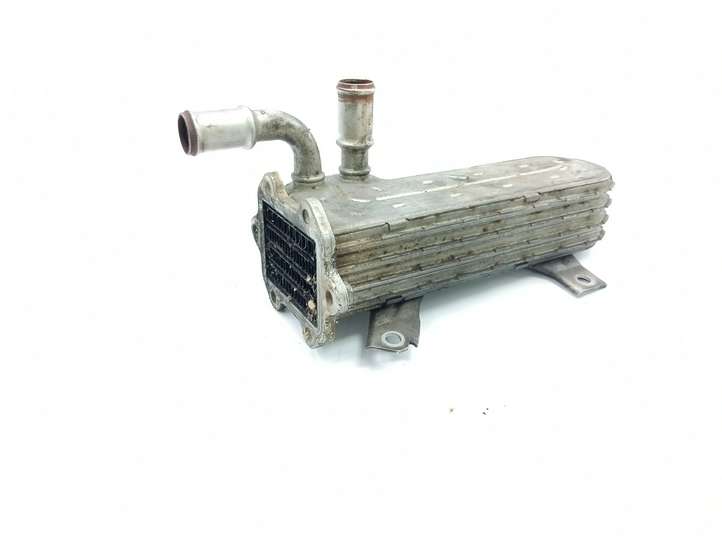 Volkswagen Golf V (2003 - 2009)  038131513 Охладитель EGR