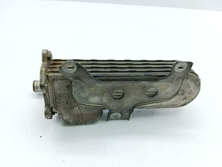 Volkswagen Golf V (2003 - 2009)  038131513 Охладитель EGR