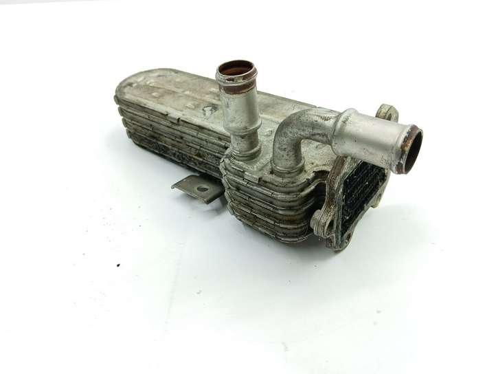 Volkswagen Golf V (2003 - 2009)  038131513 Охладитель EGR