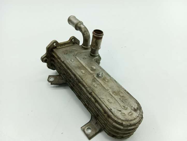 Volkswagen Golf V (2003 - 2009)  038131513 Охладитель EGR