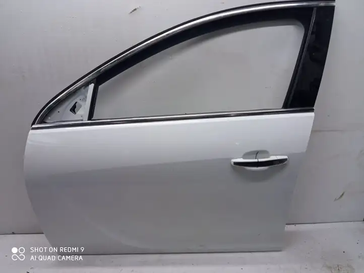 Opel Insignia A (2008 - 2017) Дверь — фото 1
