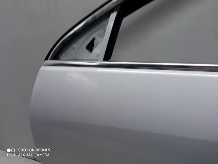 Opel Insignia A (2008 - 2017) Дверь — фото 3
