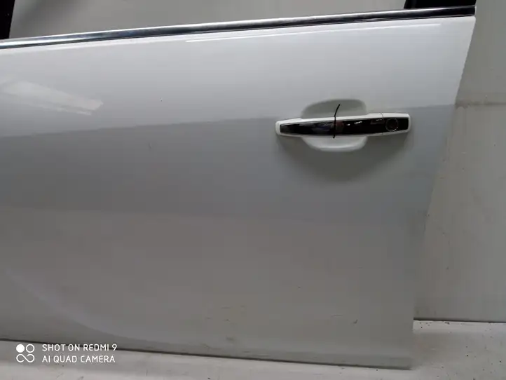 Opel Insignia A (2008 - 2017) Дверь — фото 4