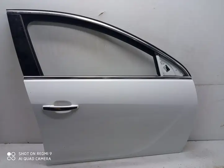 Opel Insignia A (2008 - 2017) Дверь — фото 1
