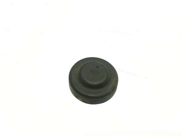 Volkswagen PASSAT B6 (2005 - 2010)  96399000 Крышка передней фары