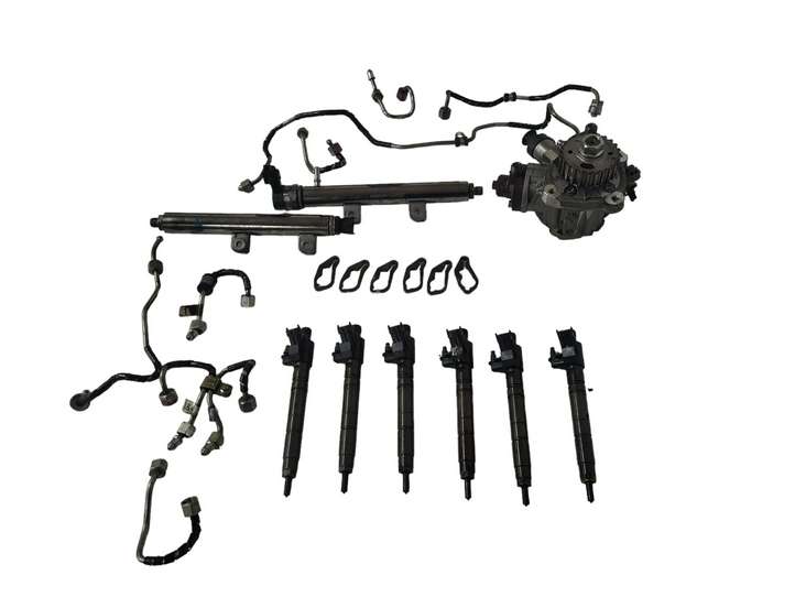 Land Rover Range Rover (2012 - 2017)  FW939K546AB Комплект системы впрыска топлива