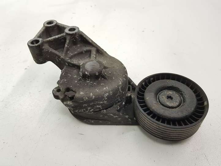 Volkswagen Sharan (2003 - 2010)  038903315 Натяжитель ремня генератора