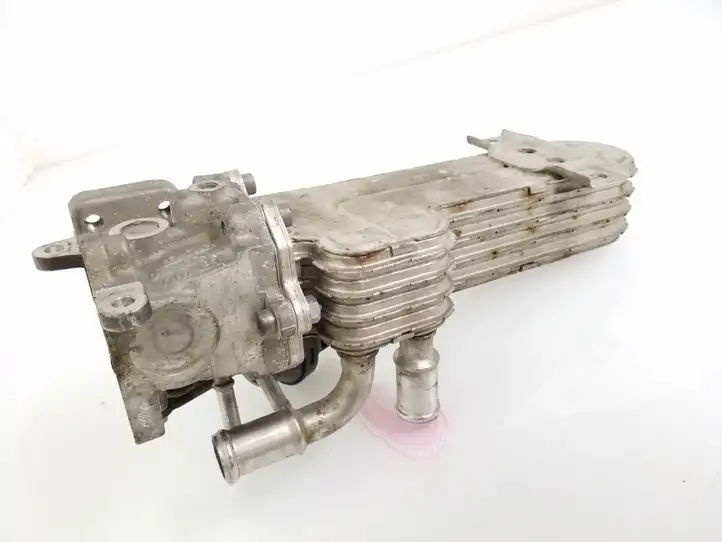 Volkswagen PASSAT B6 (2005 - 2010)  03G131513J Охладитель EGR